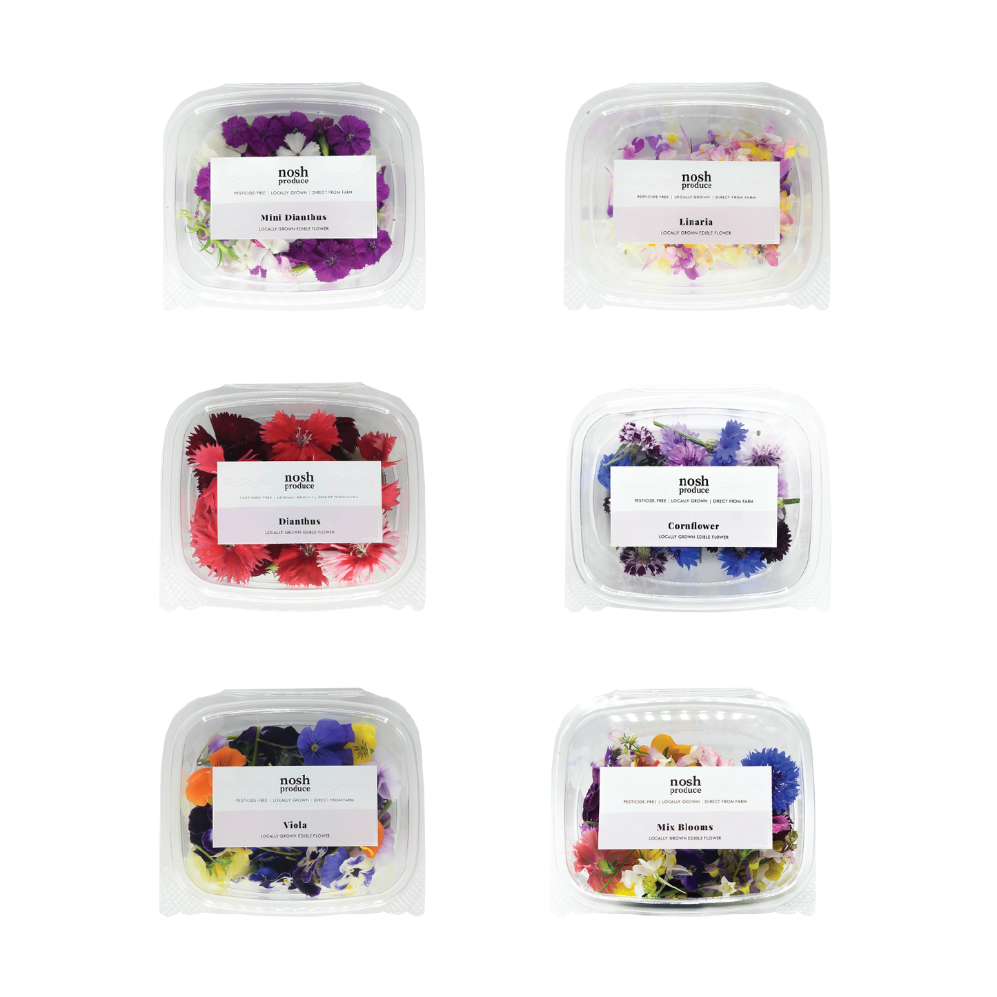 Bloom Box Bundle