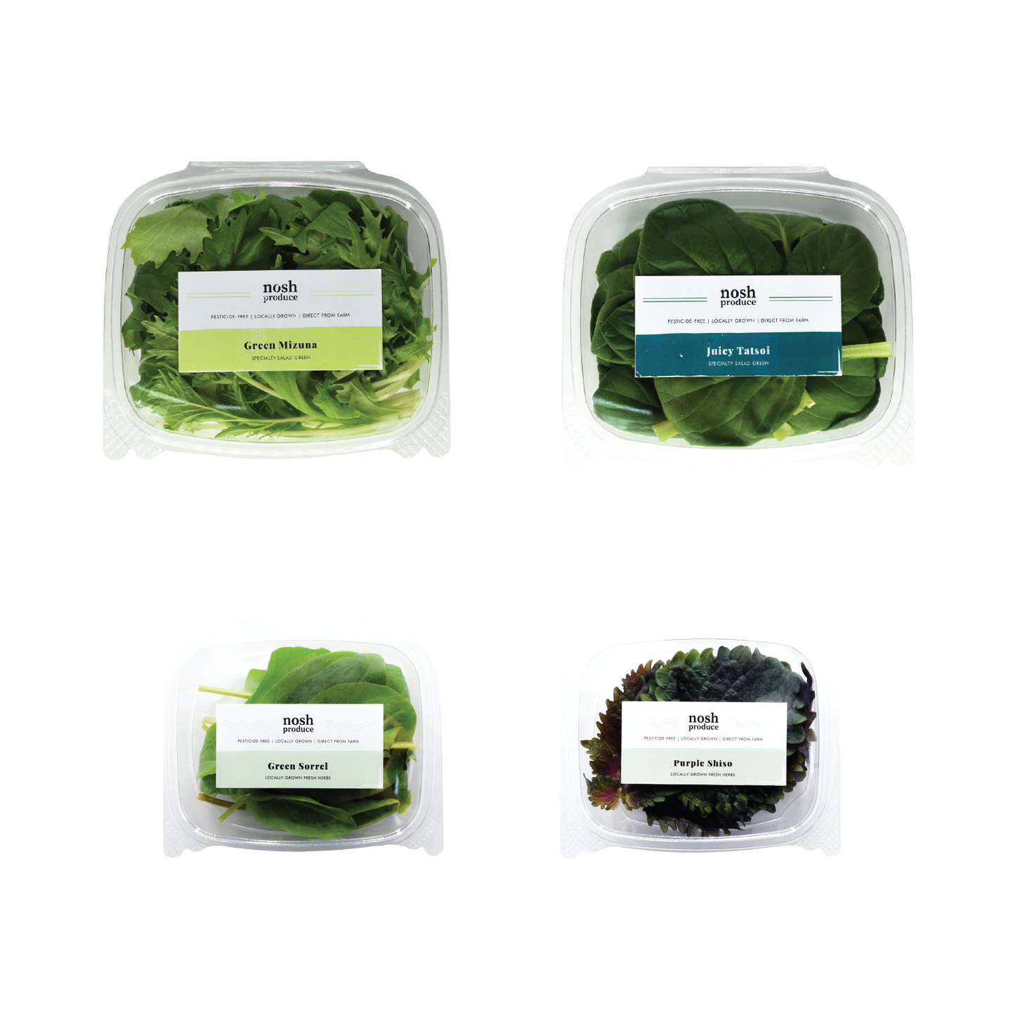 Fresh Salad & Herb Pack Bundle