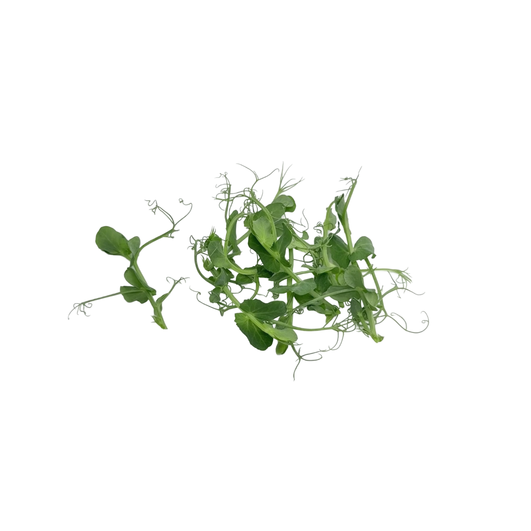 Pea Tendril
