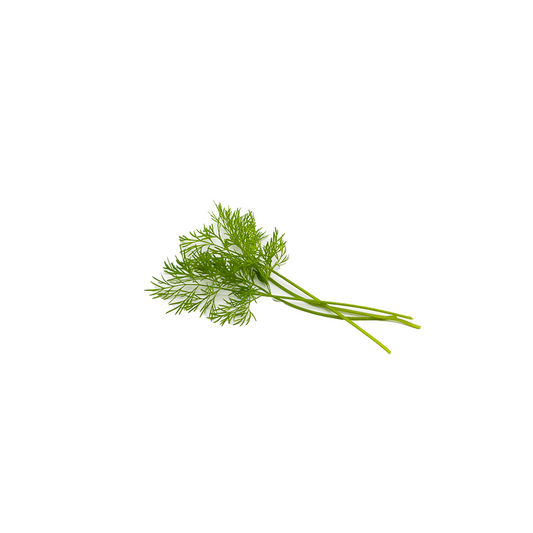 Dill Herb Pack