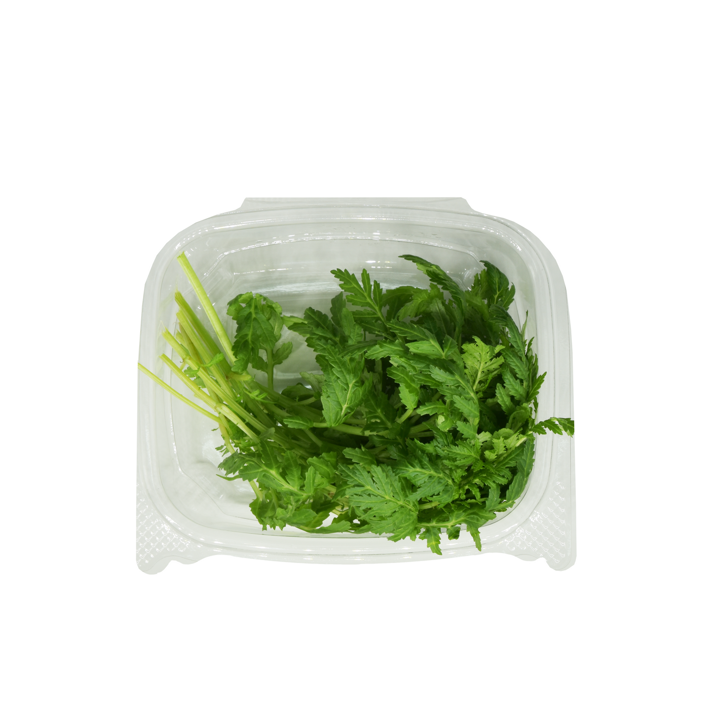 Herbs - Tangerine Gem Marigold Leaves