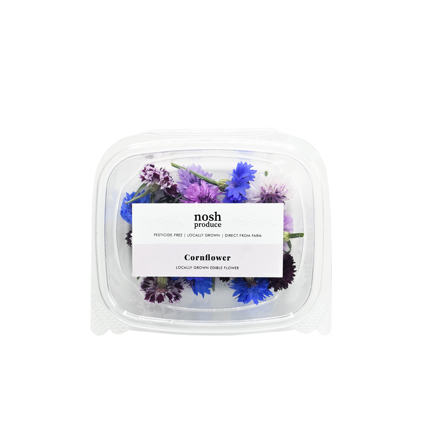 Cornflower Bloom Box