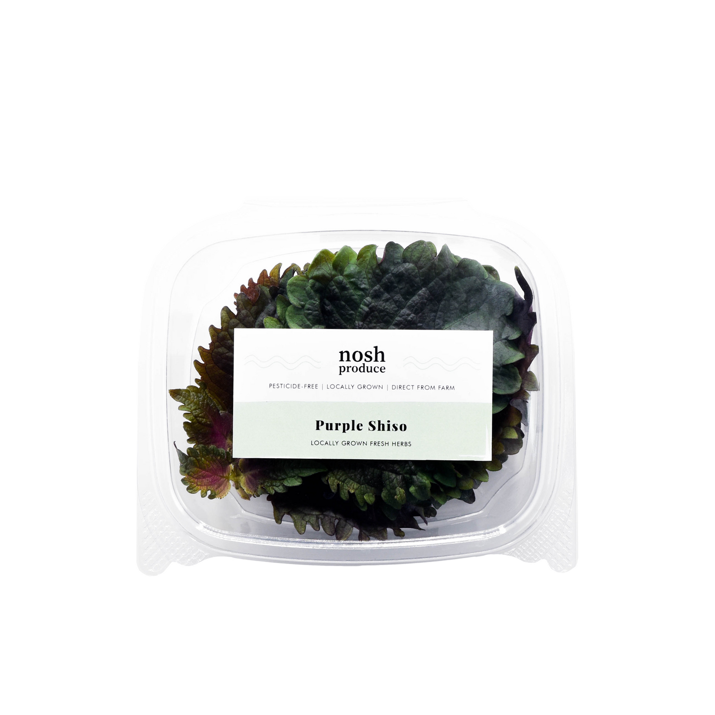 Purple Shiso Herb Pack