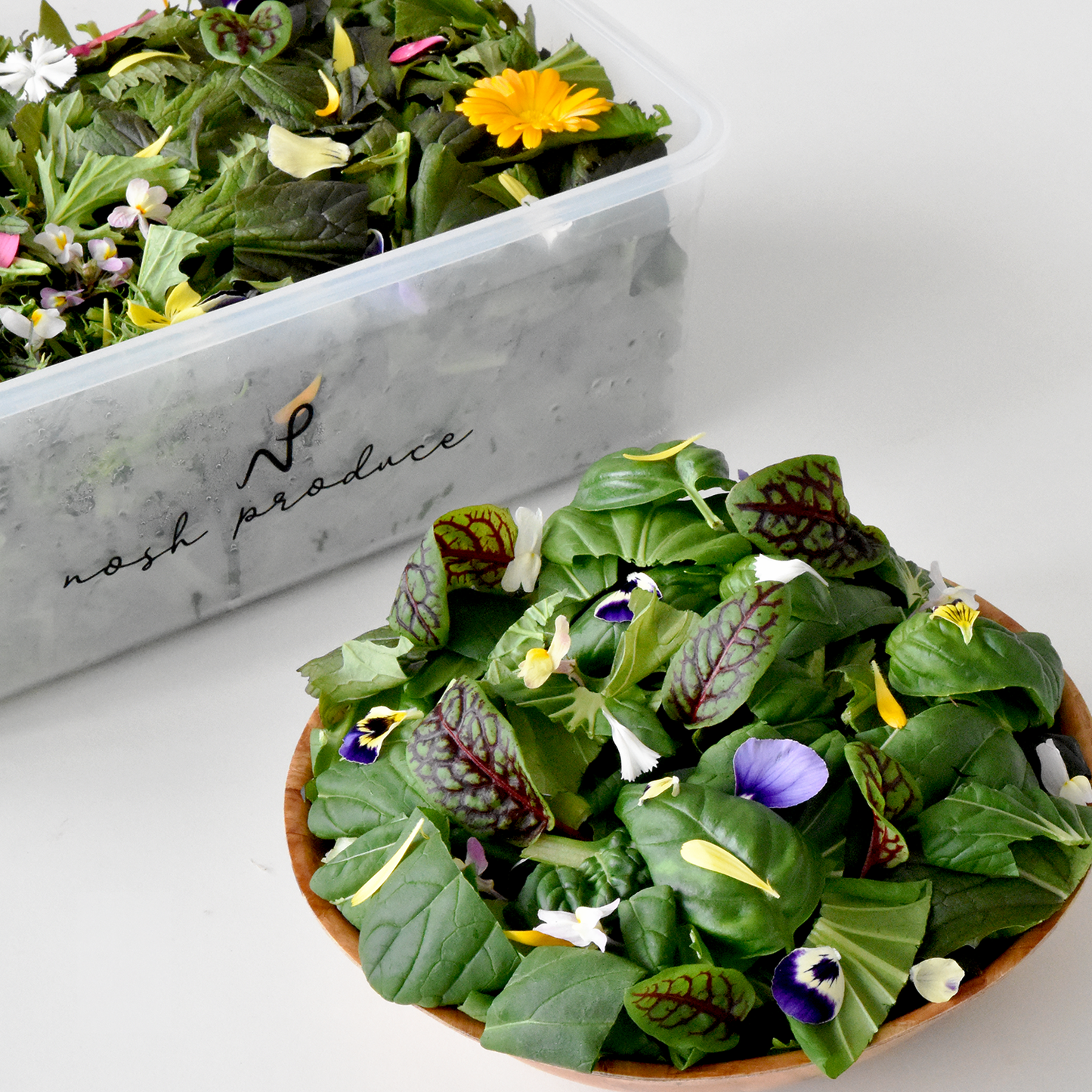 Nosh Box Active