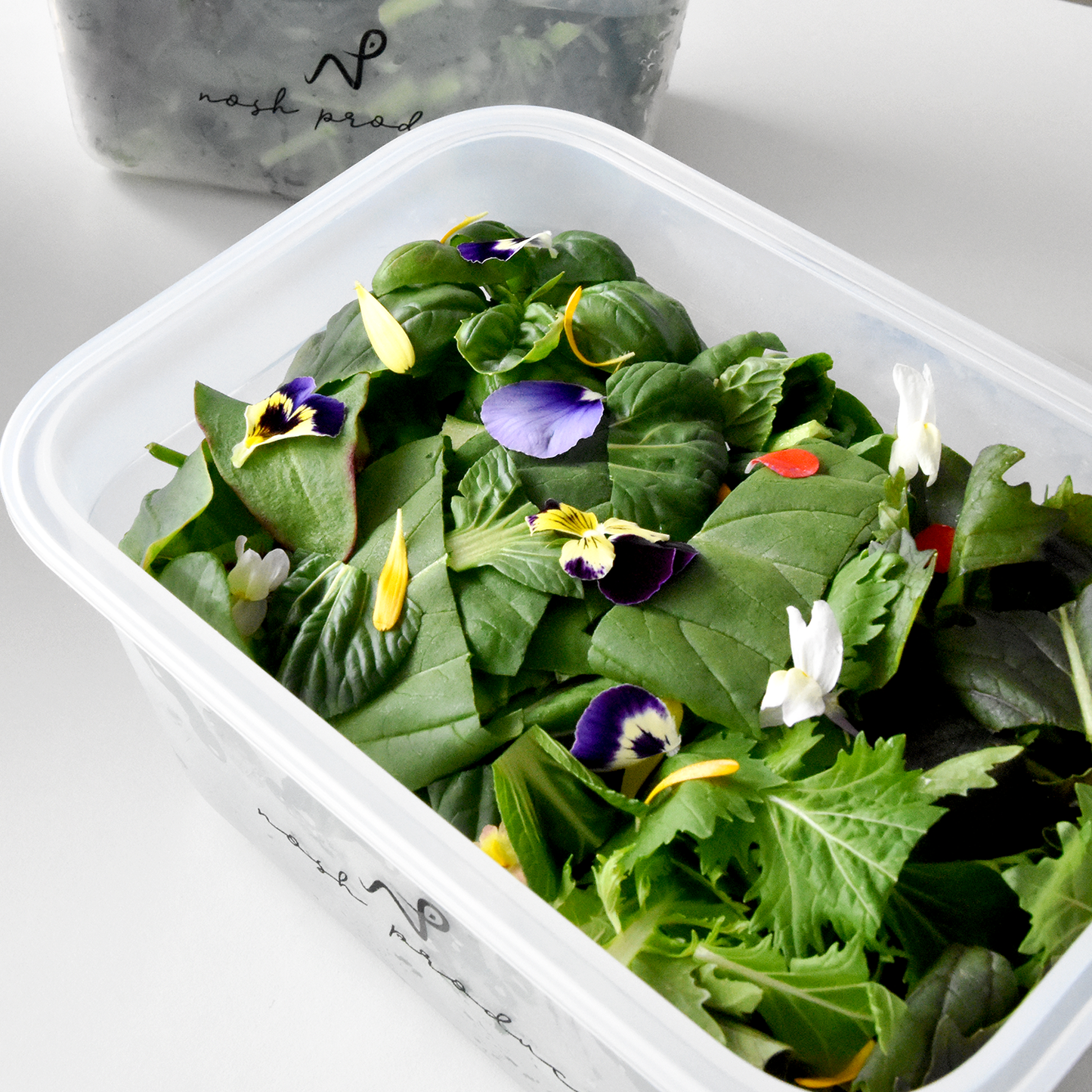 Nosh Box Mini