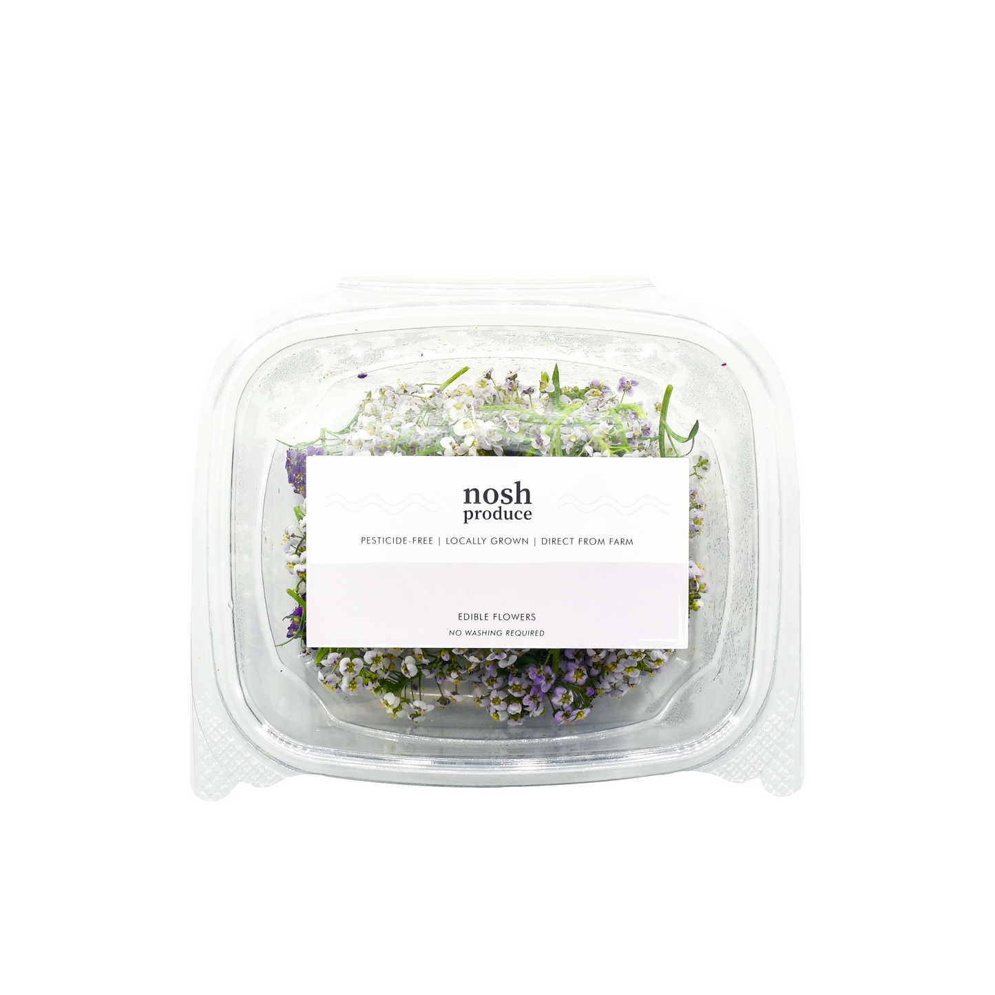 [NEW] Alyssum Mix Bloom Box