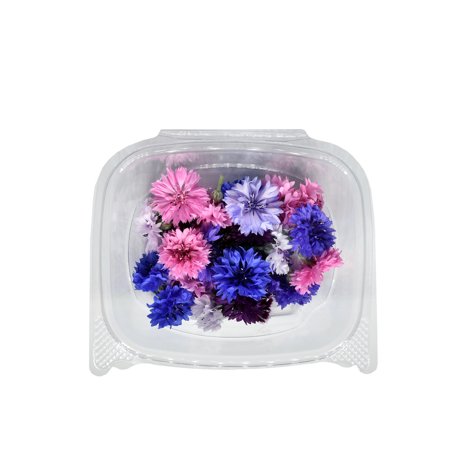 Edible Flowers - Nosh Produce | Edible Flowers, Microgreens & Specialty ...