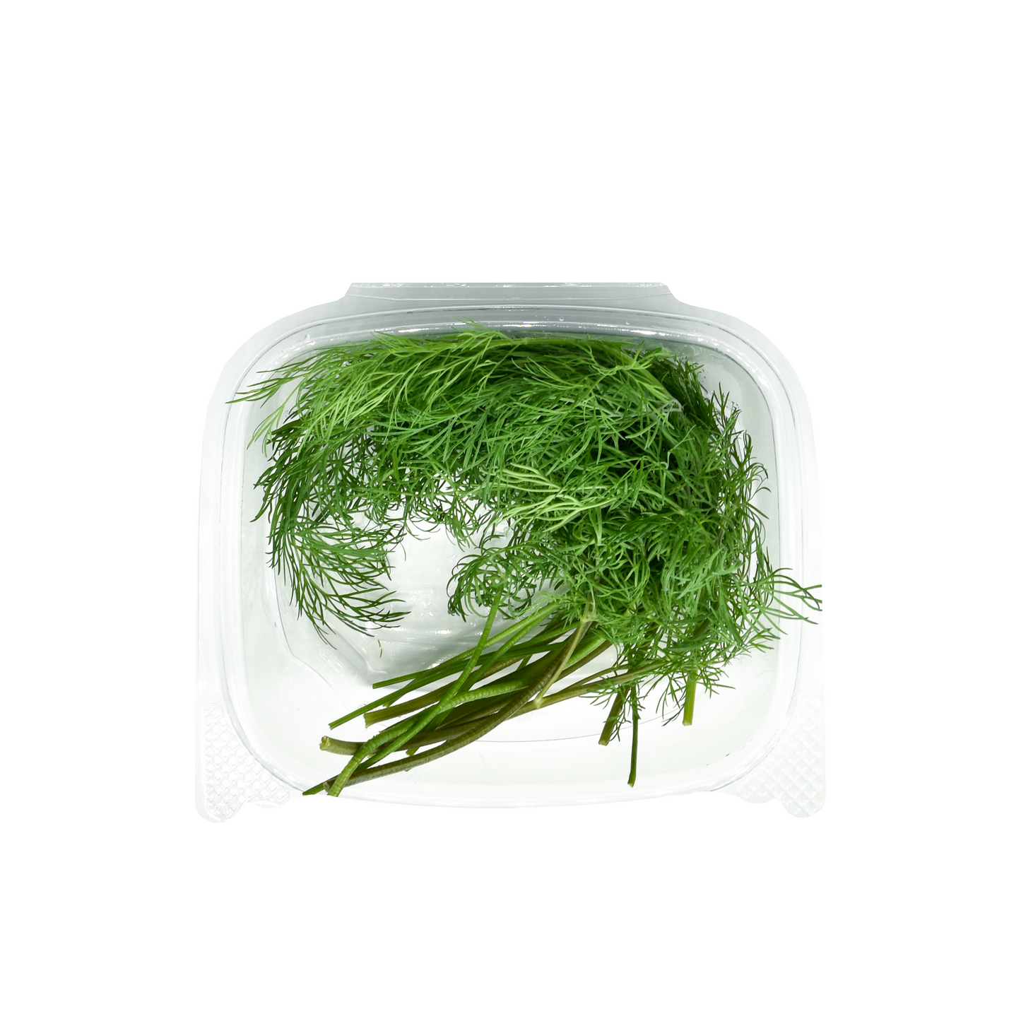 Dill Herb Pack