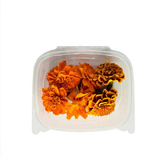 Marigold Bloom Box