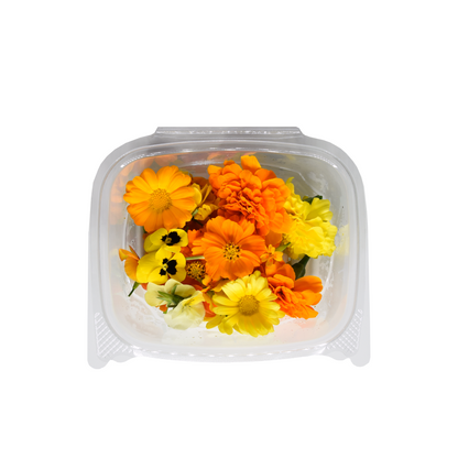 [POPULAR] Colour Collection - Edible Flowers Mix Bloom Box