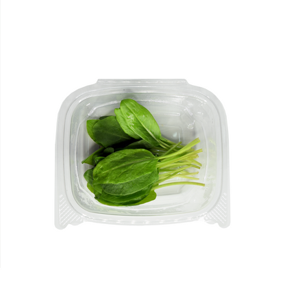 Green Sorrel Leaf