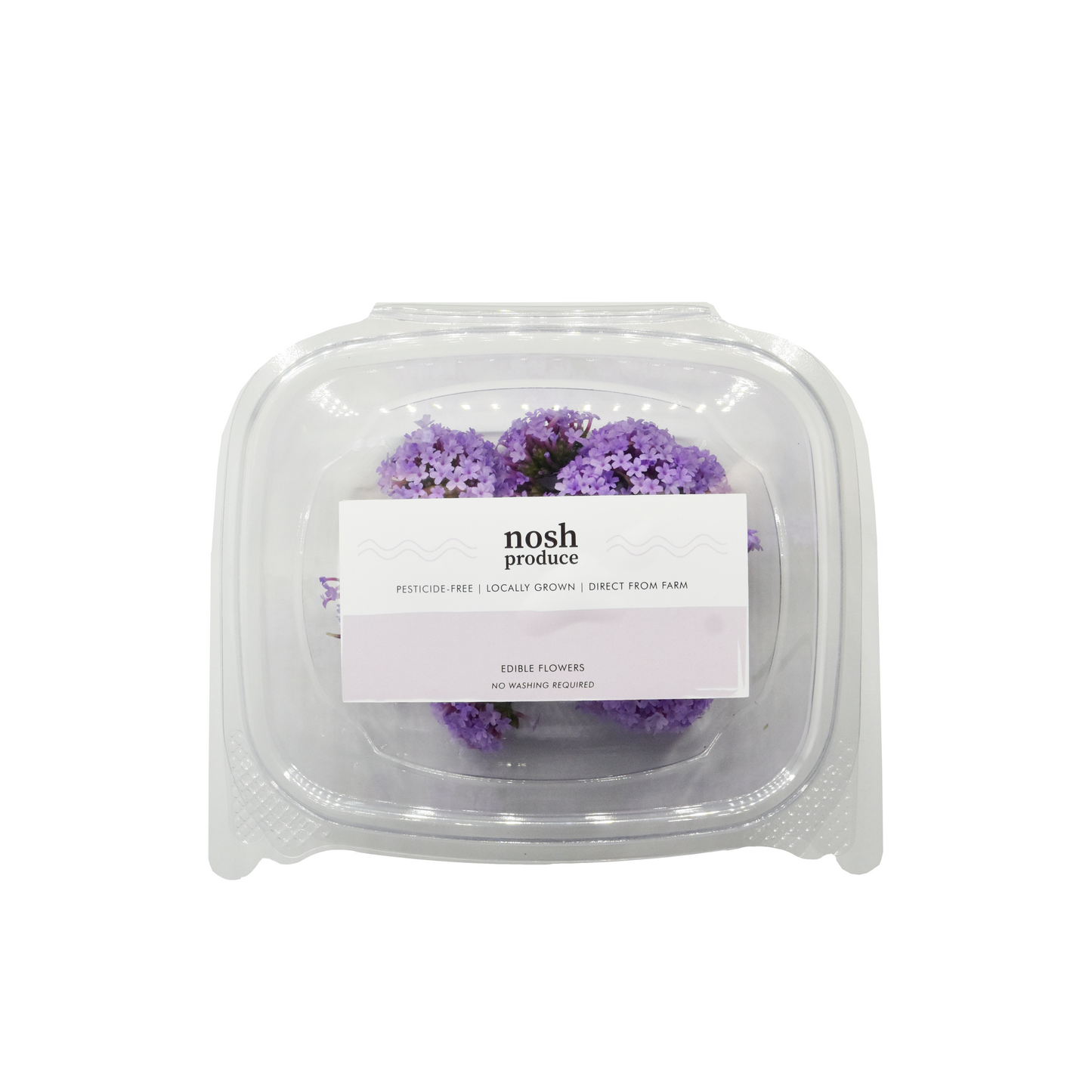 [NEW] Purple Verbena Bloom Box