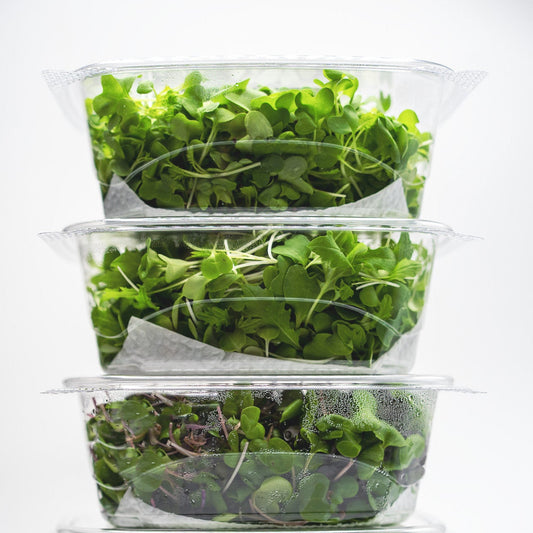 [Bundle of 3] Mini Salads