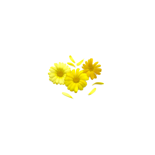 Calendula Bloom Box