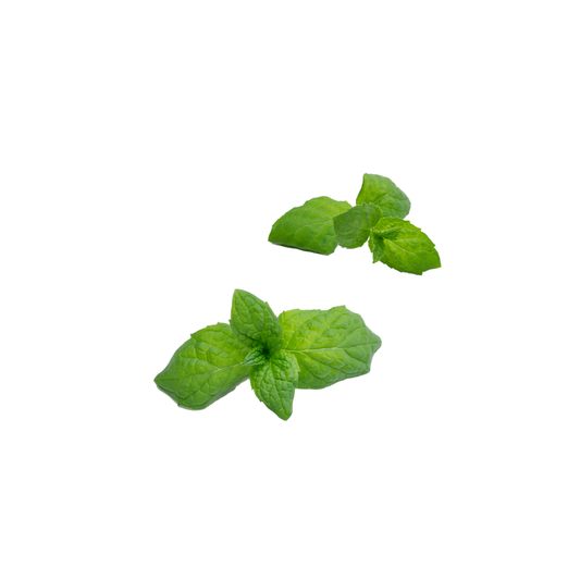 小薄荷头