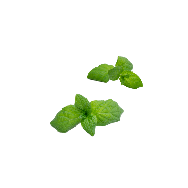Mint tips