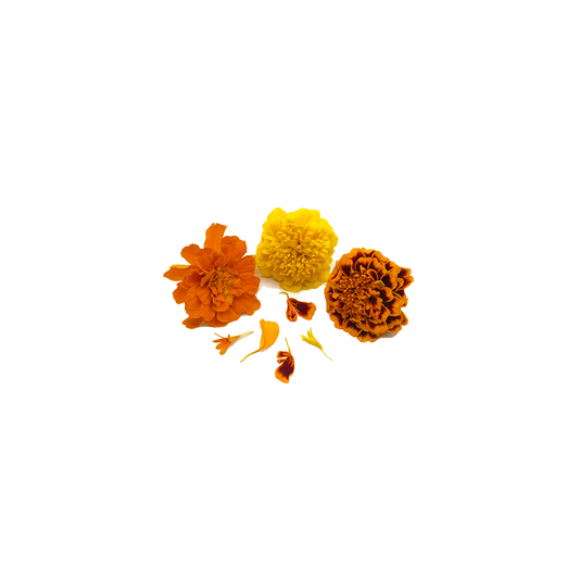 Marigold Bloom Box