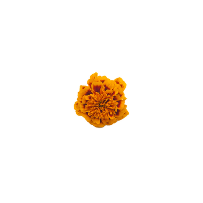 Marigold Bloom Box