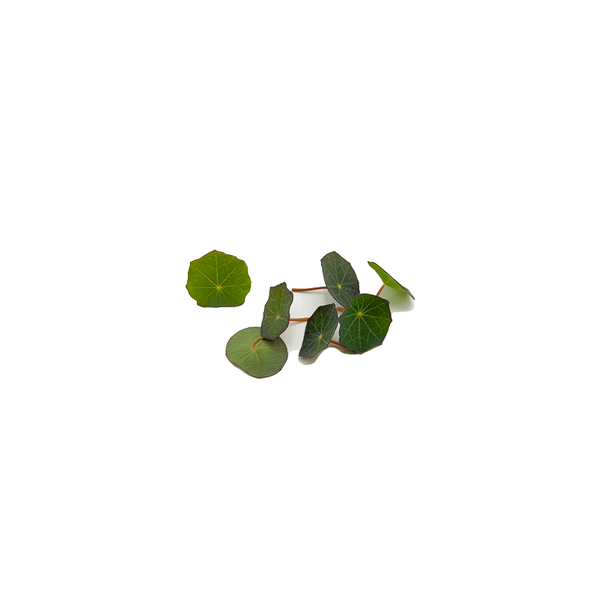 Nasturtium Leaves (S)
