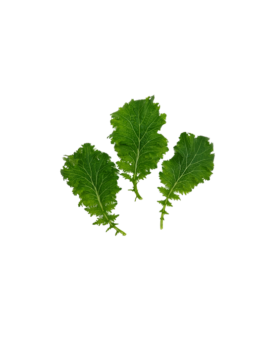 Wasabina Leaves Herb Pack