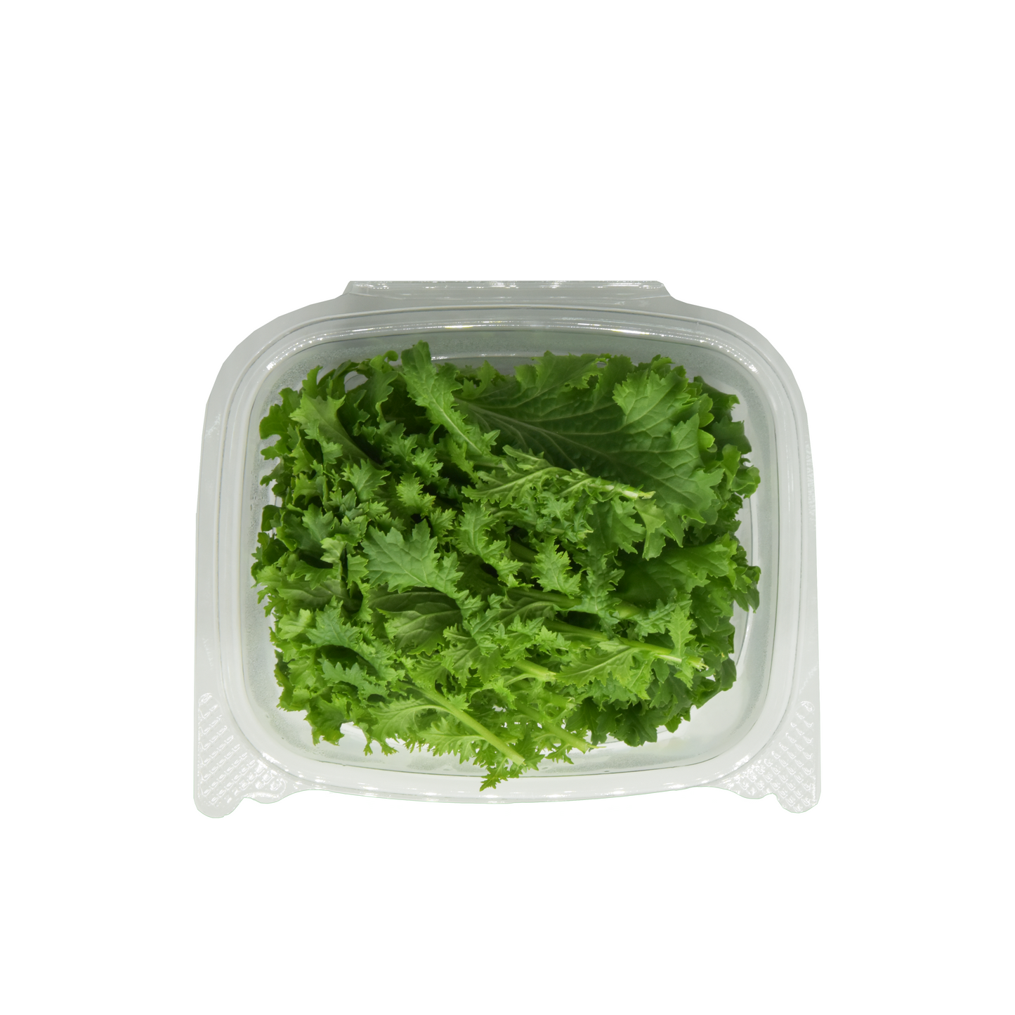 [NEW] Wasabina Leaves Herb Pack