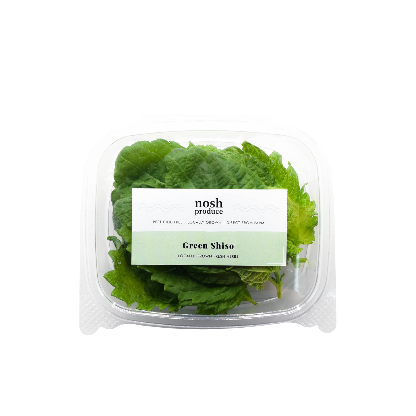 Green Shiso Herb Pack