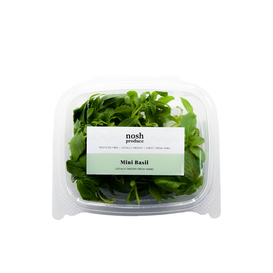 Mini Basil Herb Pack
