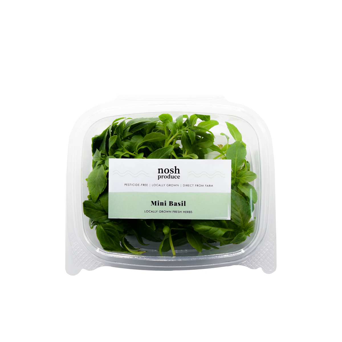 Basil Eatable Mini Basil Herb Pack - Nosh Produce | Edible Flowers, Microgreens ...