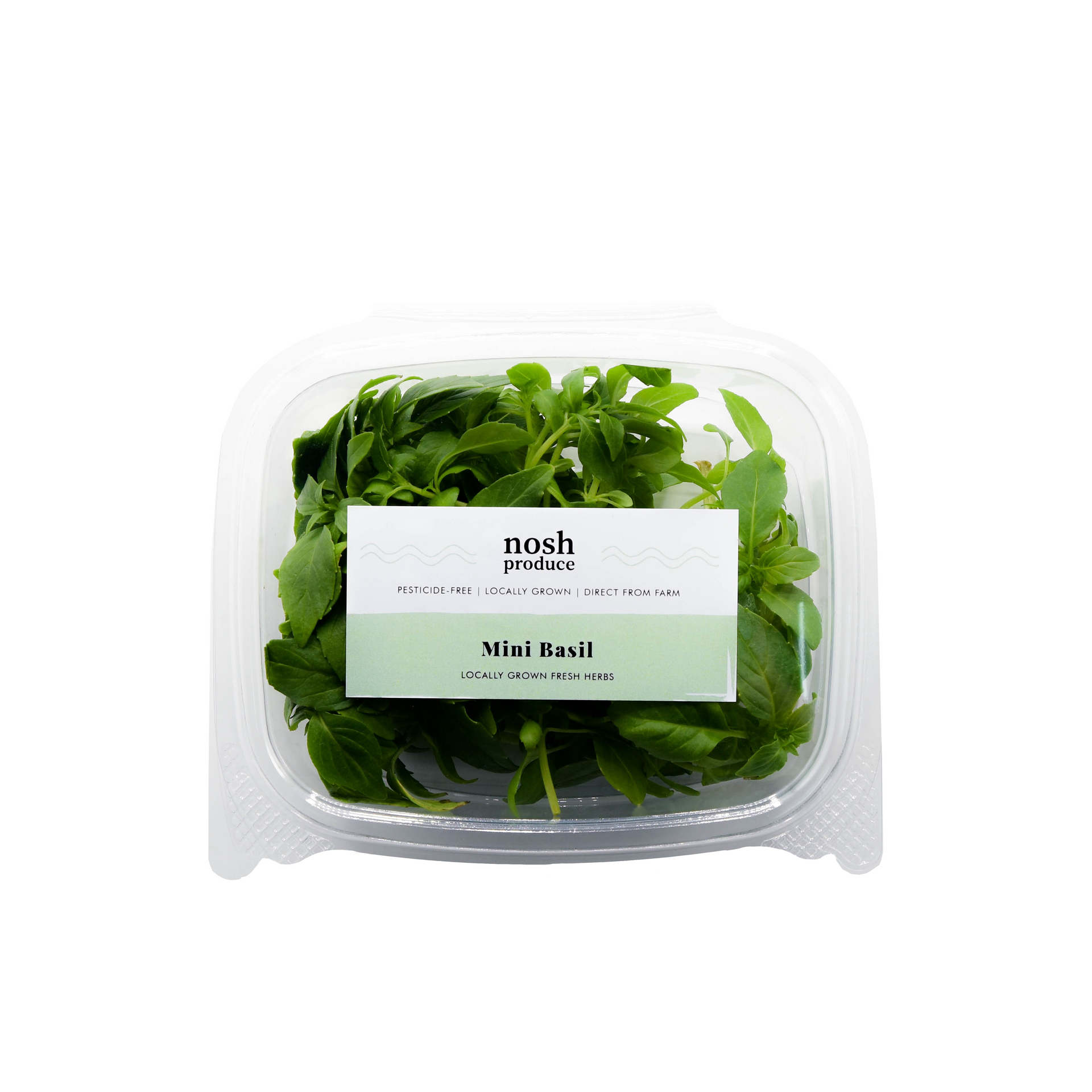 Mini Basil Herb Pack Nosh Produce